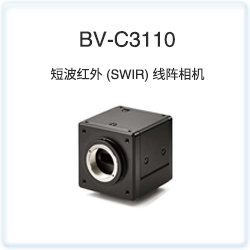 BV-C3110